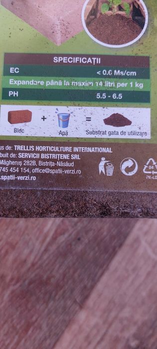 Venus flytrap Plantă carnivoră