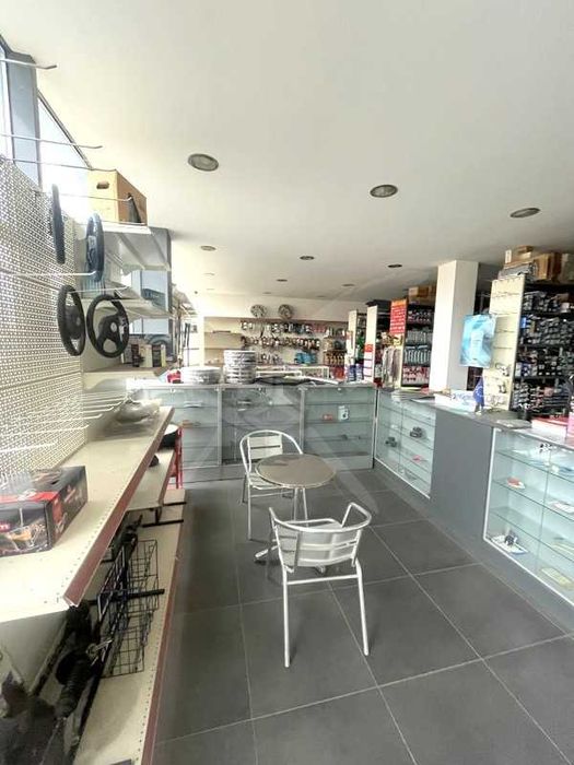 Бизнес имот в Просеник 54987