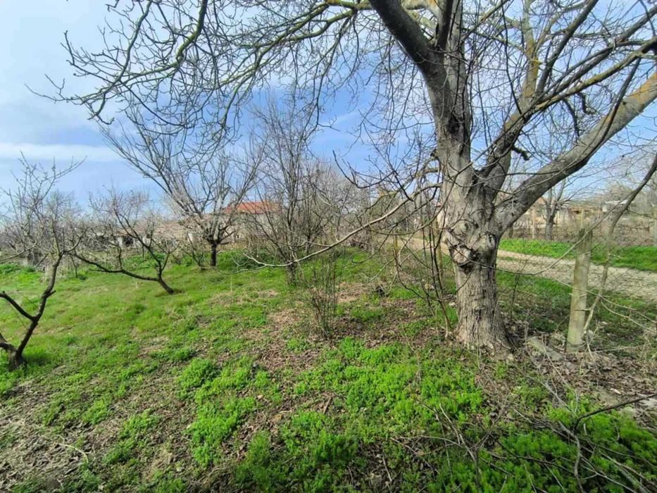 Продава се Къща в с. Пролез, Област Добрич - 97 кв.м за 200 €/кв.м - Снимка #13