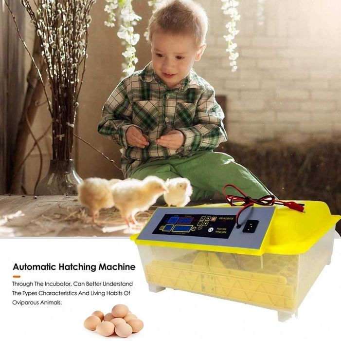 Напълно автоматичен инкубатор за 48 яйца 80W YZ8-48