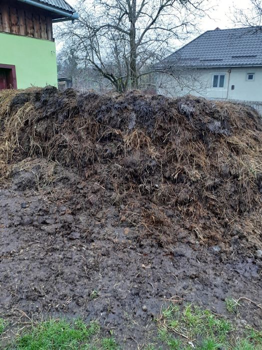 Gunoi de vaci vânzare