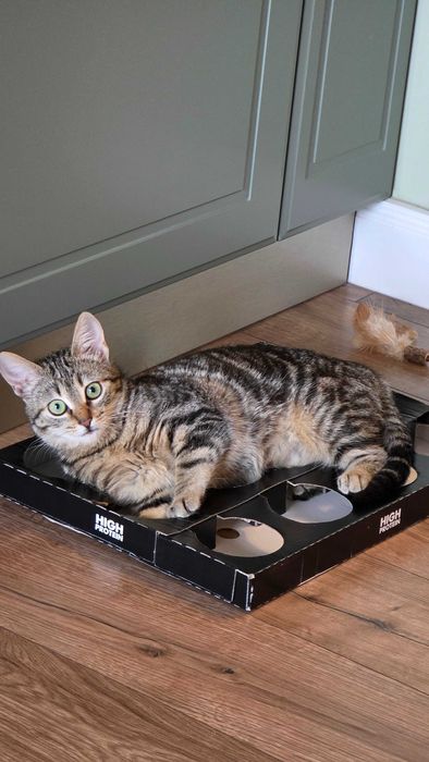 Sophie - un suflet mic si iubitor