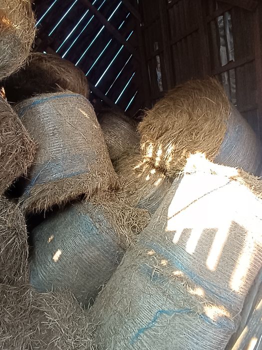 Vând baloți de fân și otavă  calitate foarte bună.
În zona Marghita Ju