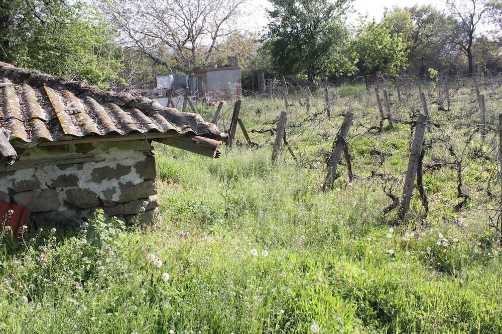 Самостоятелна къща с голям двор в с. Горица