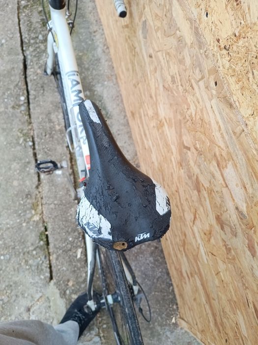 Cursiera specialized dolce