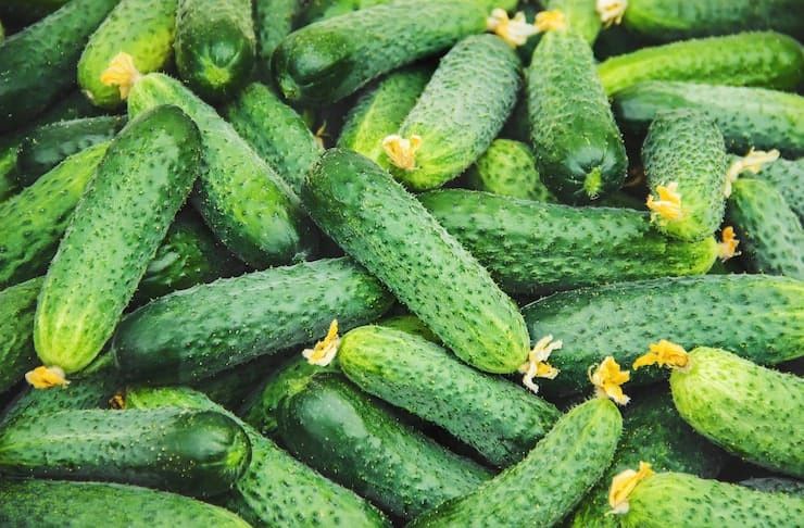 Продам домашние огурцы