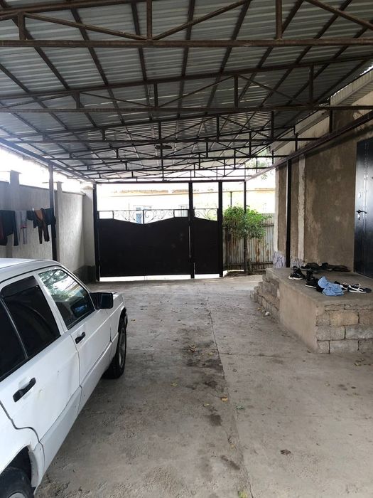 Нуржан nurjan Бухарская 38