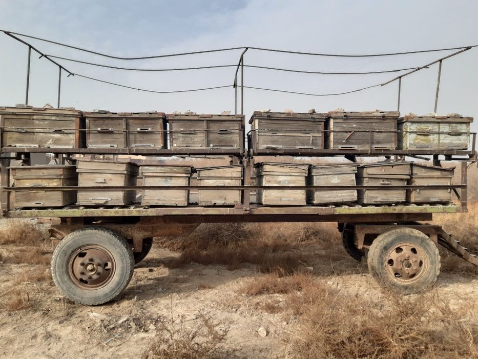 Пчелоприцеп на 36 ульев