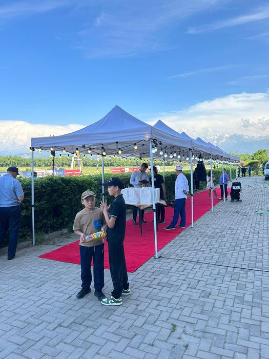 Бесплатная доставка шатёр 888