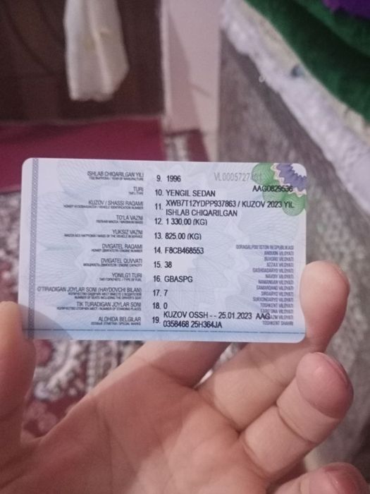 Damas даево алокада