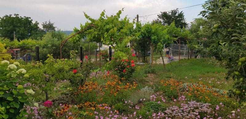 Продава се Къща в с. Кранево, Област Добрич - 50 кв.м за 940 €/кв.м - Снимка #4