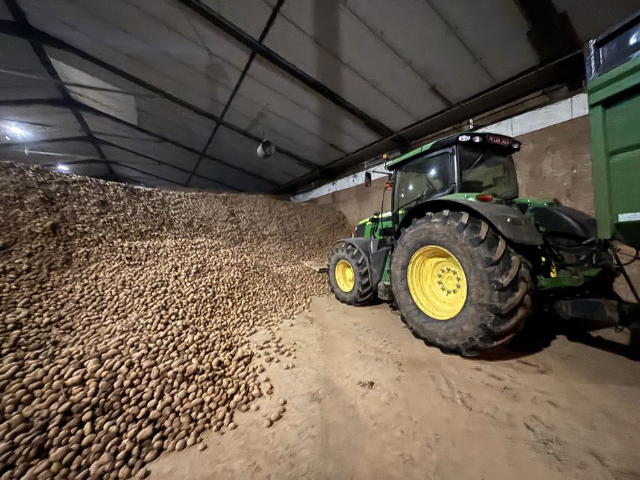 Cartofi premium import: prajit, piure, copt, chips, fiert