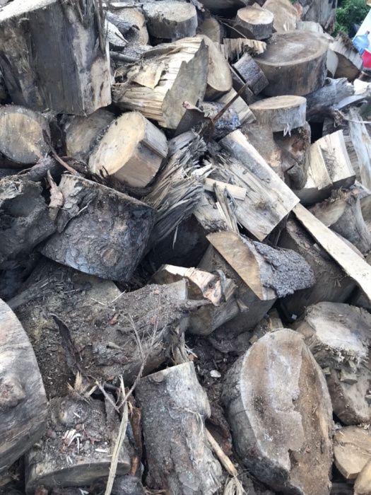 Lemne foc brad si molid