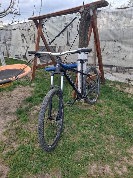 Cannondale trail 7 2019 HARDTAIL