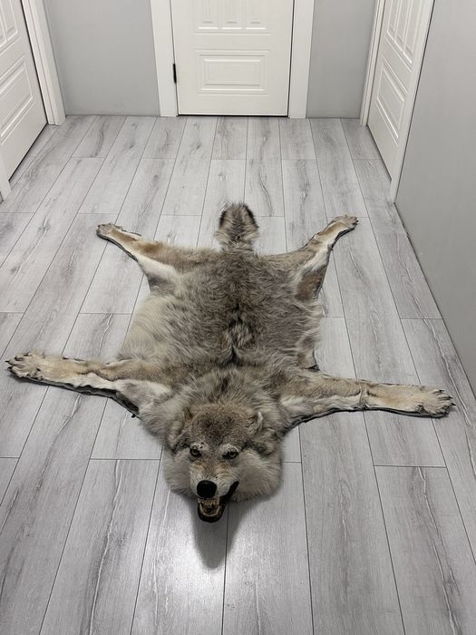 Шерсть волка на пол