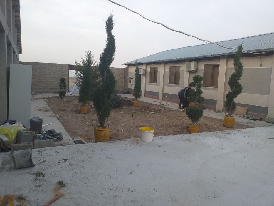 Archa gular Dekarativni