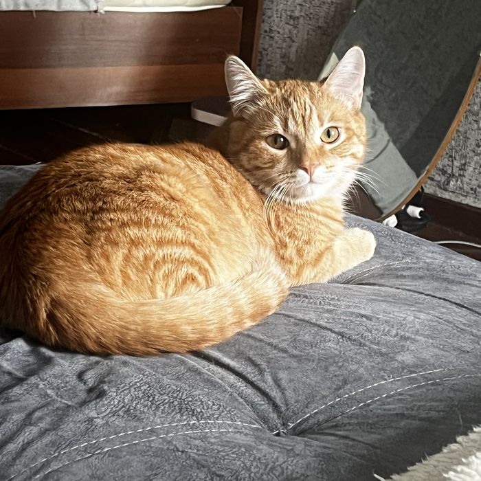Дуся, 9-10месяцев