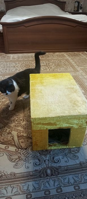 Домик для кошки очень уютный