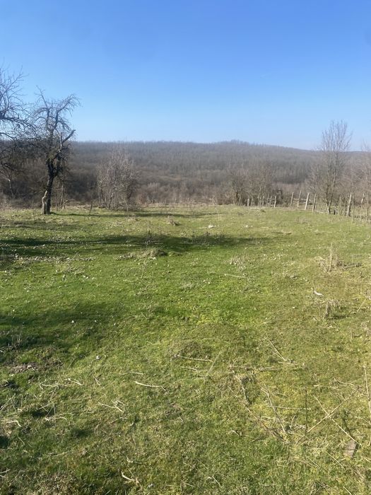 Vand casa + teren langa ususau