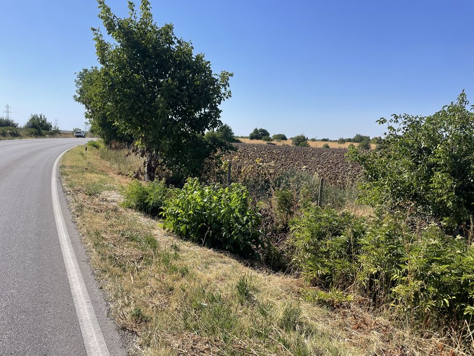 Продава се Земеделски имот в с. Калипетрово, Област Силистра -  кв.м за 6193 €/дка - Снимка #2