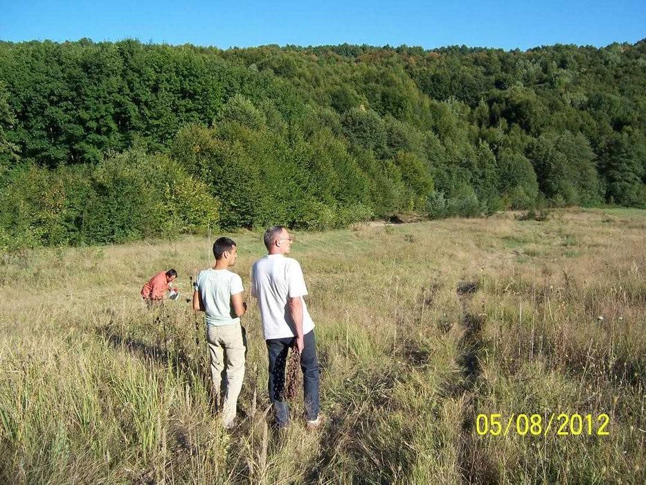 Teren de 6000 mp inconjurat de padure Stefanesti Arges