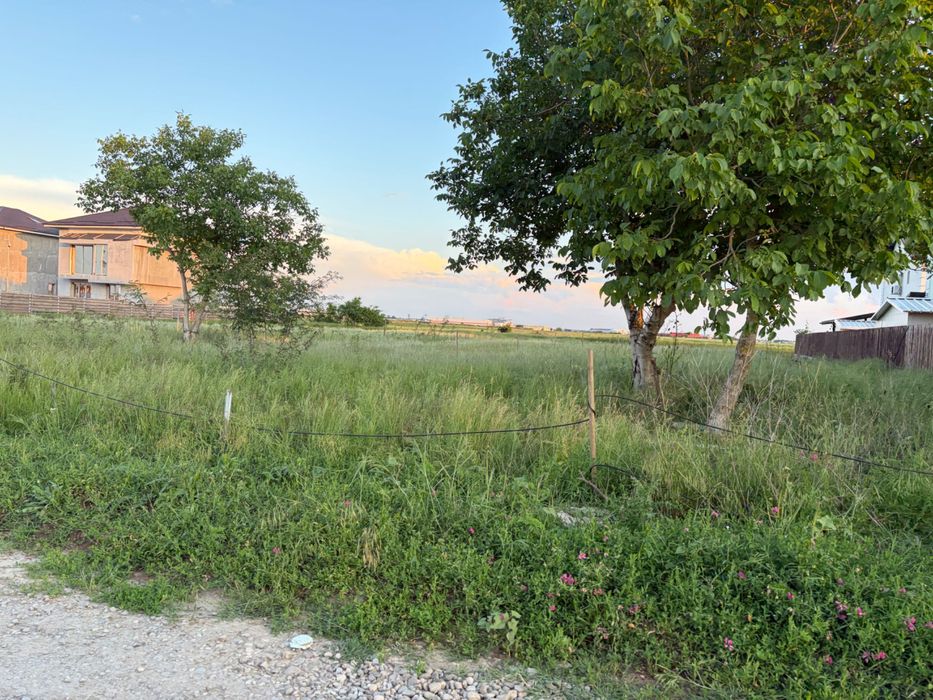 Teren intravilan 1.500 mp de vânzare – Strada Castanului, Tunari