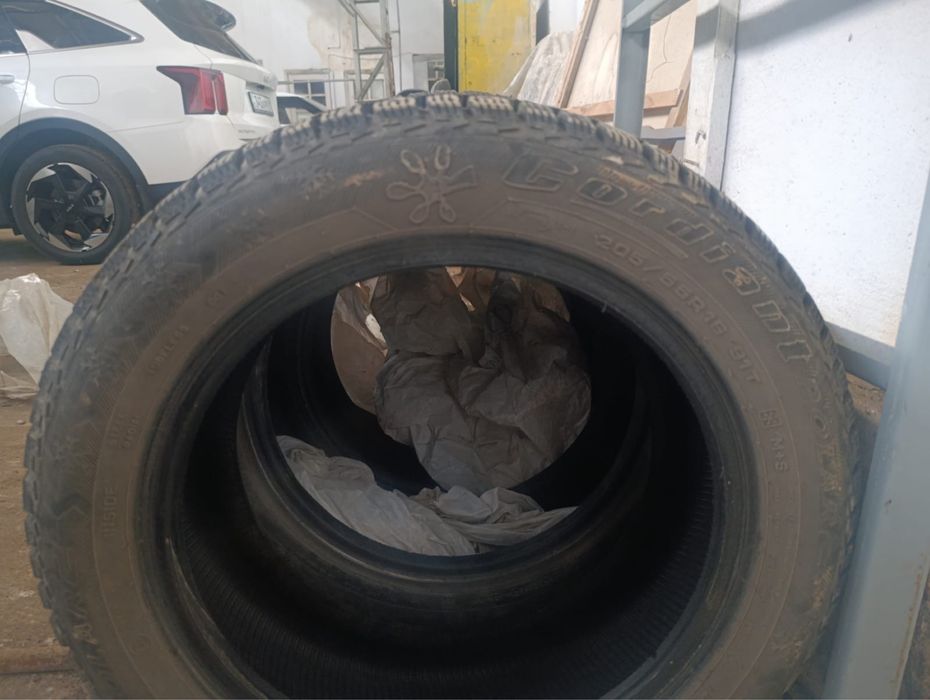 Зимние шины 205/55/R16