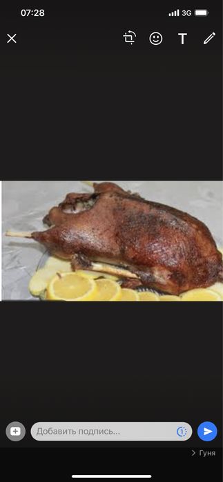 Мясо птицы