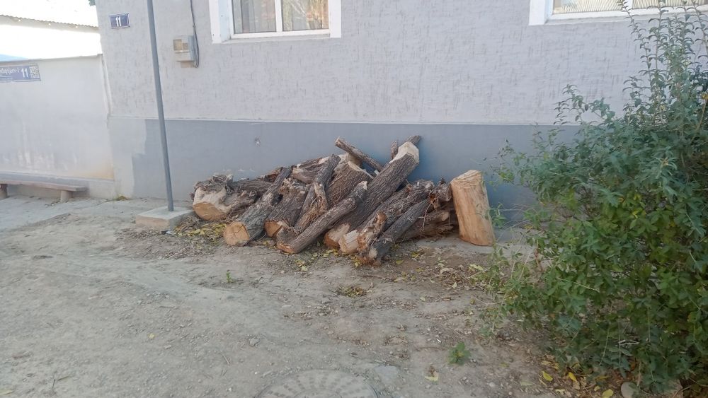 Отын ағаш бар тегін