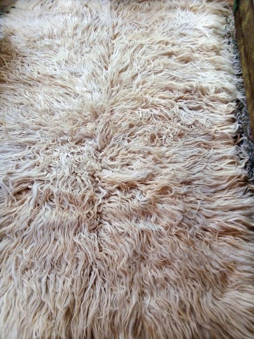 Нови Кичени халища