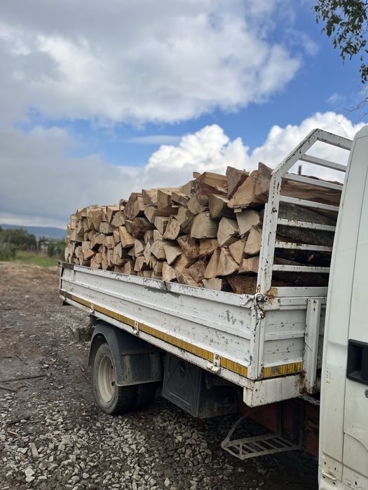 Lemn de foc fag 1234