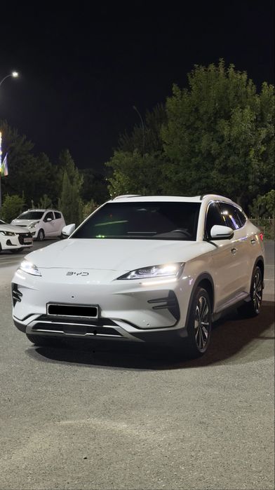 Byd champion 605
