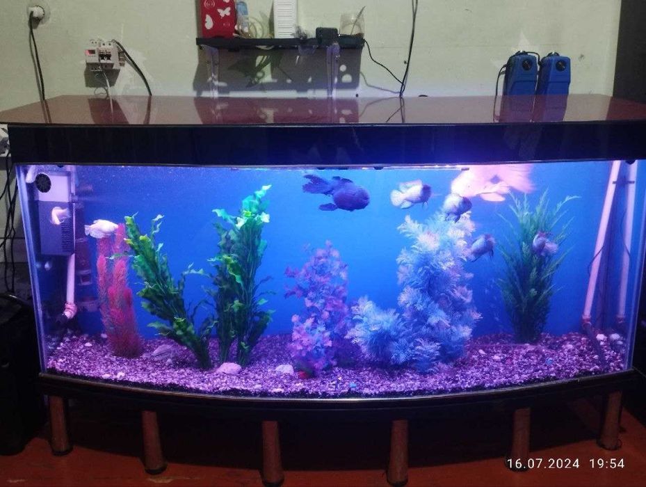 prodam akvarium,
