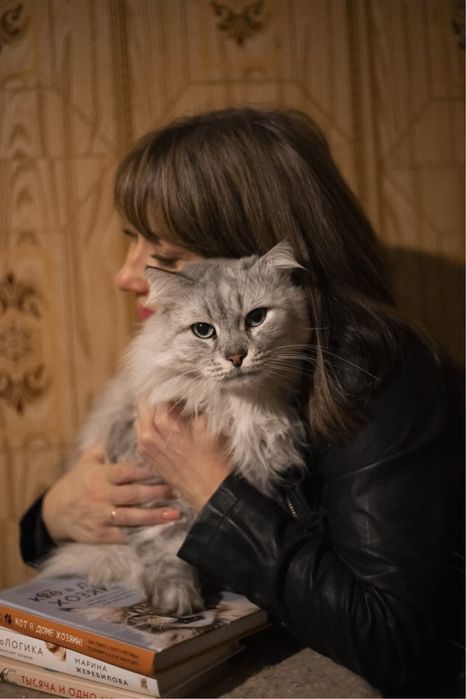 Хвостики ищут дом