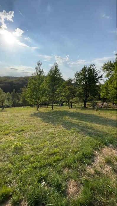 Teren de vânzare în Sinteu