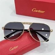 Мъжки слънчеви очила Картие