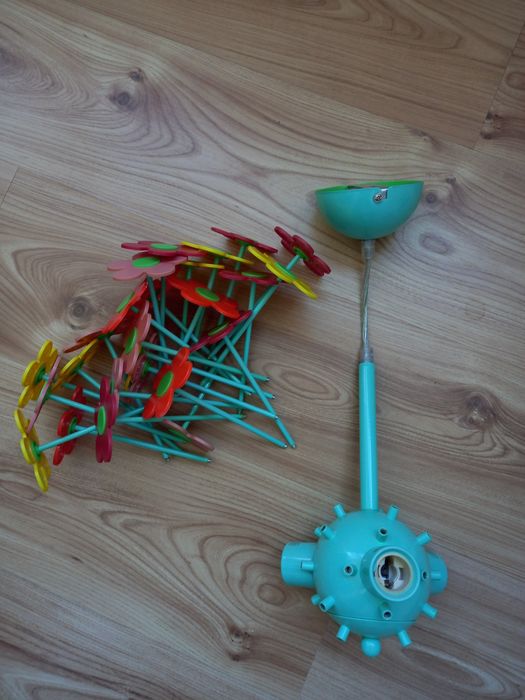 Полилей Цвете с с