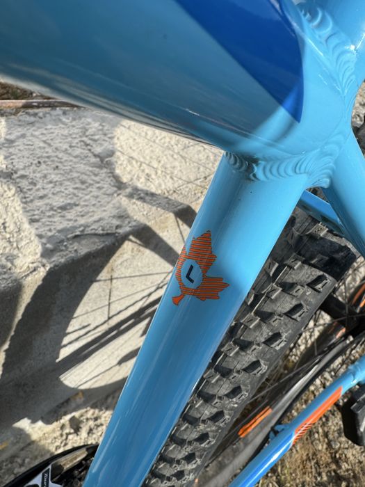 Vand bicicleta focus,roti pe 29,marimea cadrului L