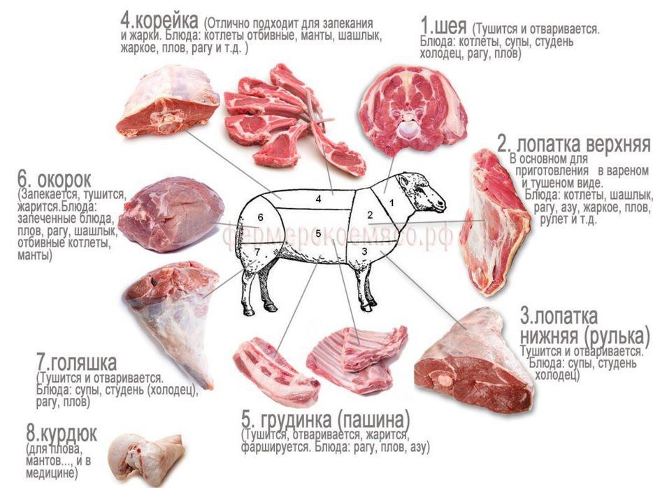 Бараний курдюк