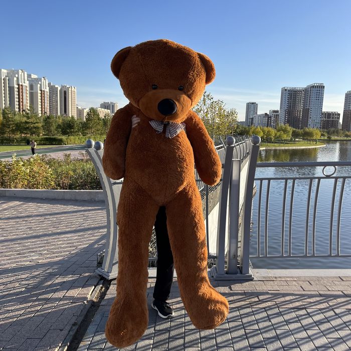 Плюшевые мишки от 9990. Доставка бесплатная/Оплата при получении