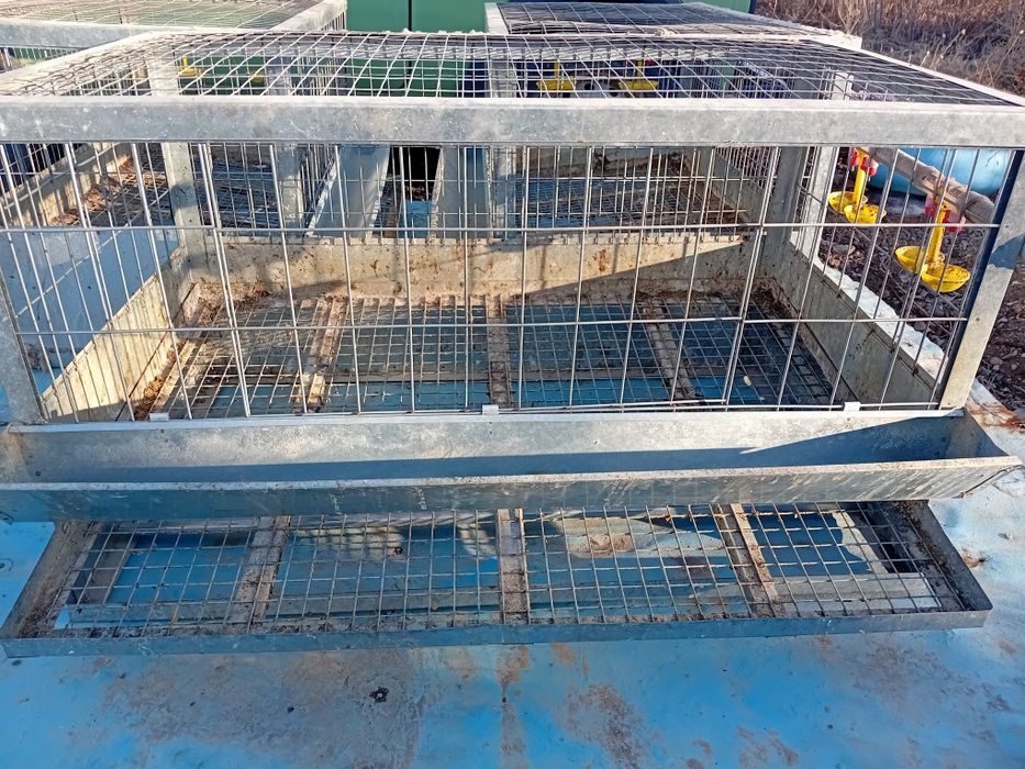 Клетки для кур несушек