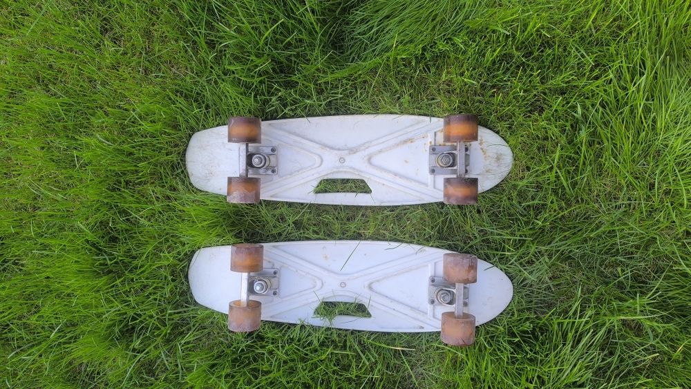 Пениборты большие