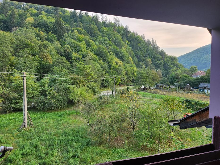 Închiriez casa și grădină