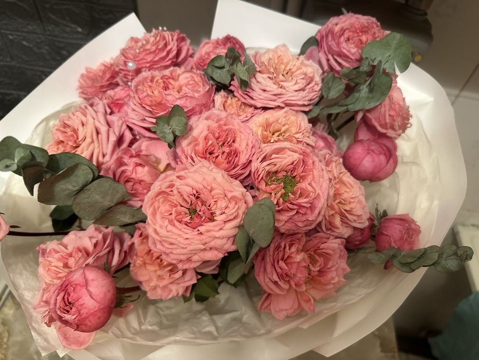 Пионовидные спрей розы сорта “julietta”