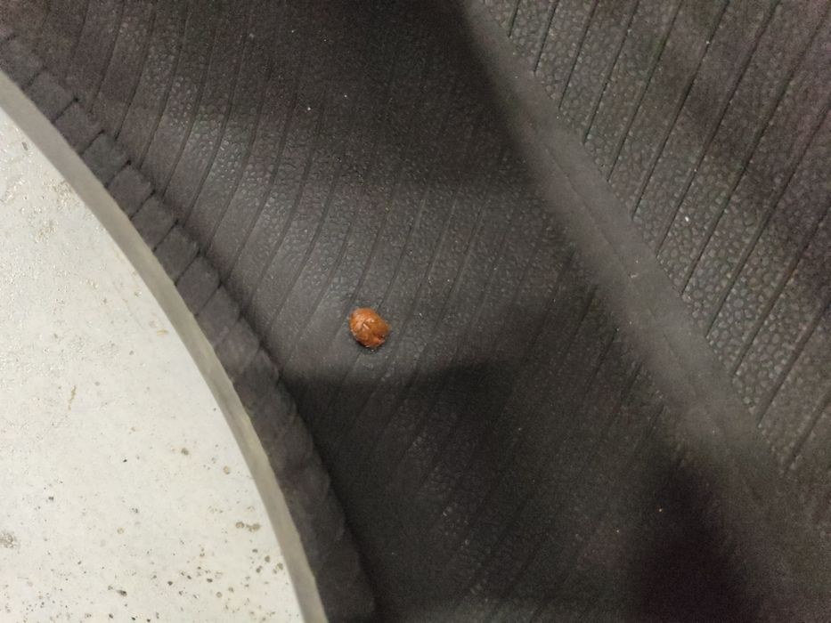 Шины летние бу.