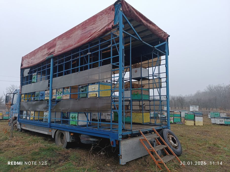 Albine , camion apicol mercedes,cutii stupi ,inventar apicol,caturi,