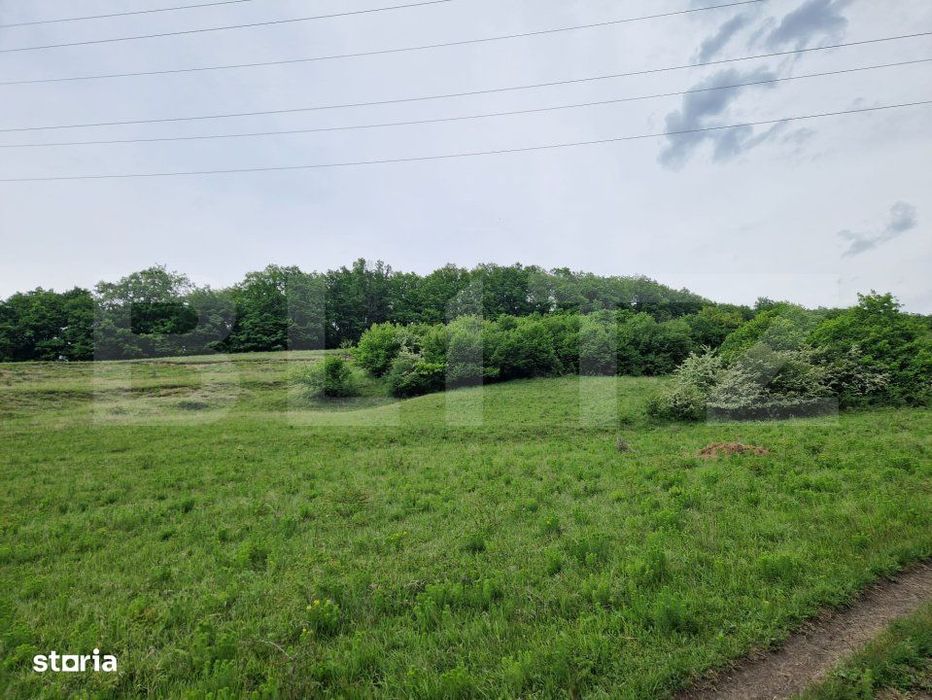 Teren extravilan de vanzare Vlaha 14.500 mp, zona superba, ideal pentr