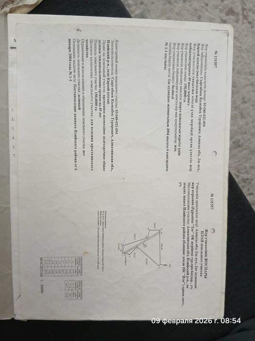 Продам фазенду со скотом
