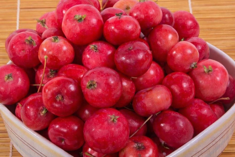 Продам дачу по маршруту N 17