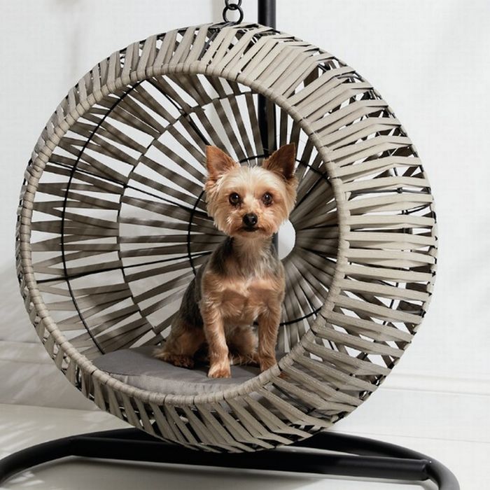 Vand fotoliu suspendat pentru pisici sau caini de talie mica cu perna